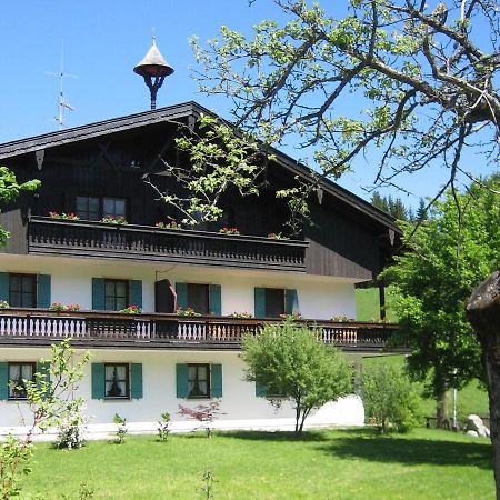 基姆高的阿绍Ciao-Aschau Gschwendtnerhof Ap20 Bunk公寓 外观 照片
