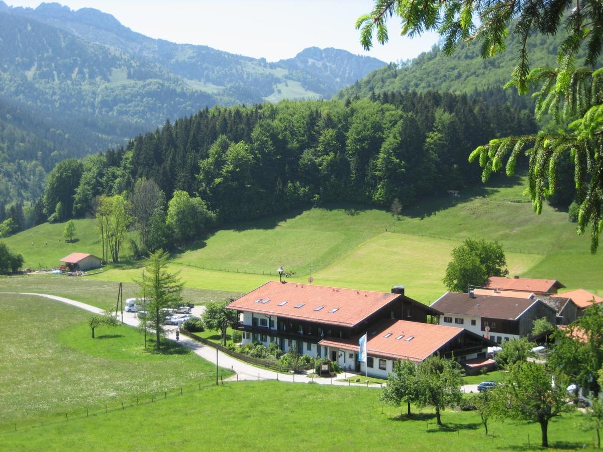 基姆高的阿绍Ciao-Aschau Gschwendtnerhof Ap20 Bunk公寓 外观 照片